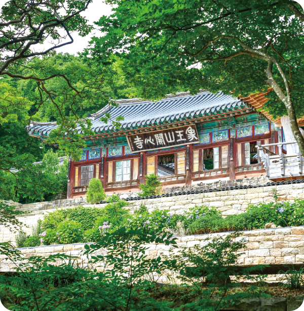 물이 그린 풍경
